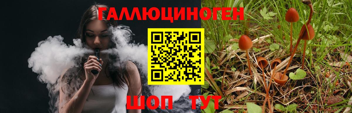 Псилоцибиновые грибы GOLDEN TEACHER  Вход с VPN  Орёл 